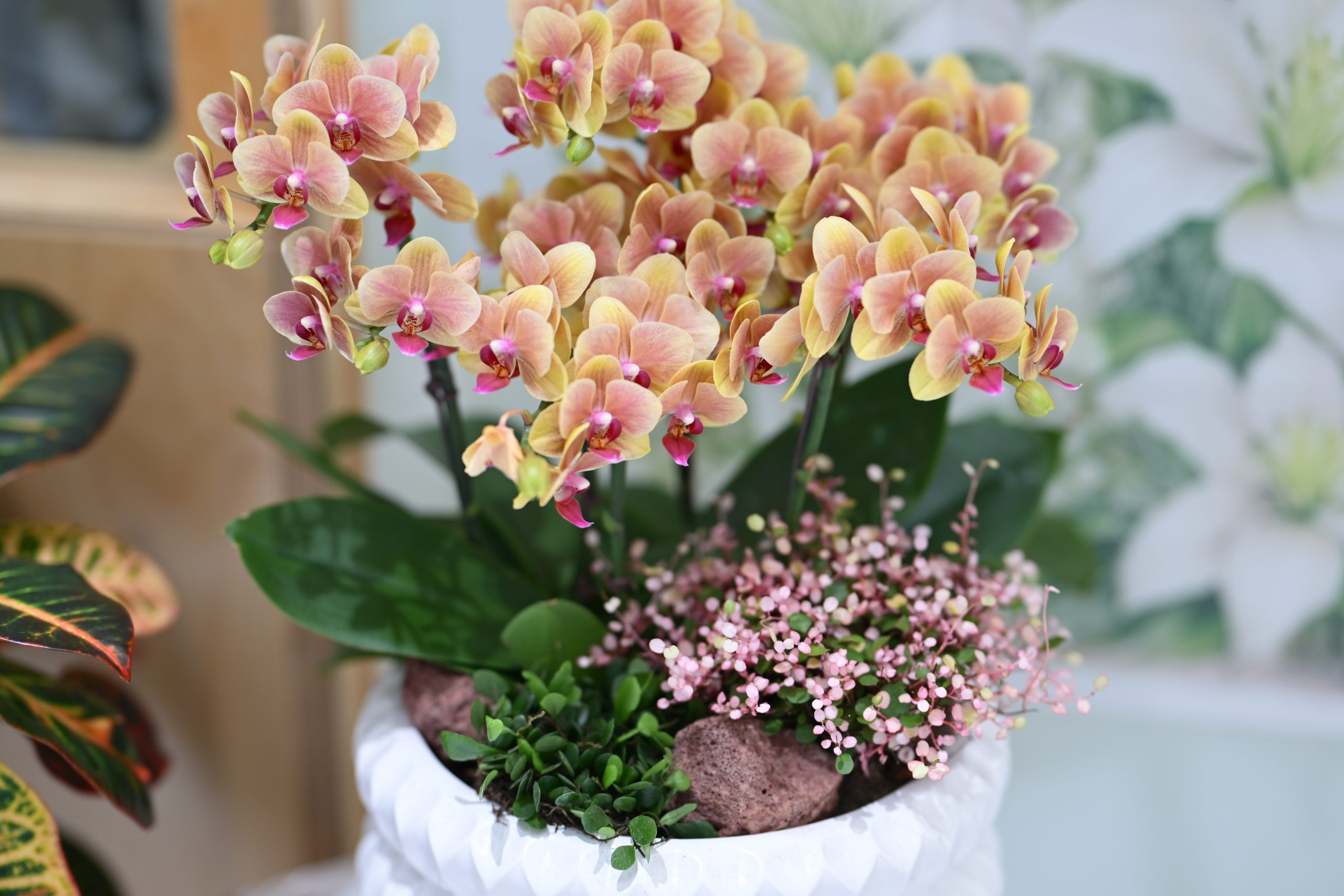 (신앙칼럼) 하나님의 반전, 부활